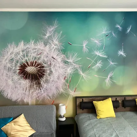 Pitypang Apartman*** * Zalakaros